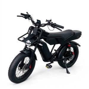 52V40Ah Dual Battery Fat Tire Electric Bike Full Suspension Hydraulic Disc Brake Double Seat Front Shelf Food Delivery E Bike