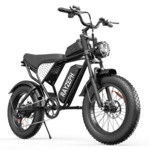 1000W Q20Lite Fatbike Mtb E Bike 48v 15AH E-Bike Fat Tire Electric Dirt Mountain Bike Electric Moped Bicycle For Adults